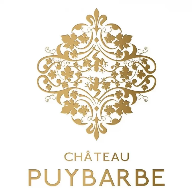 Chateau Puybarbe