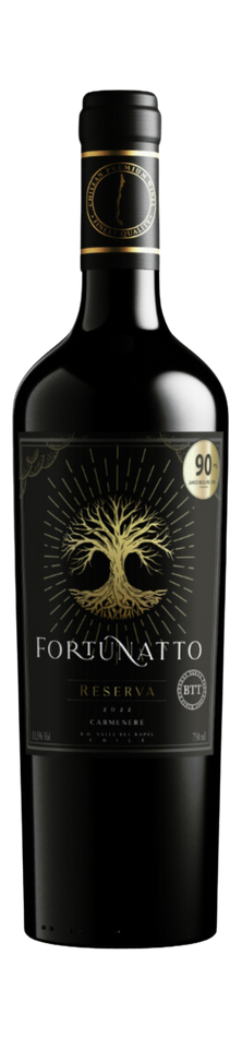 FORTUNATTO RESERVA CARMENERE 2022