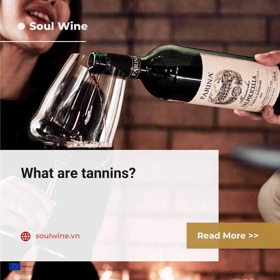 What are tannins in Wine?