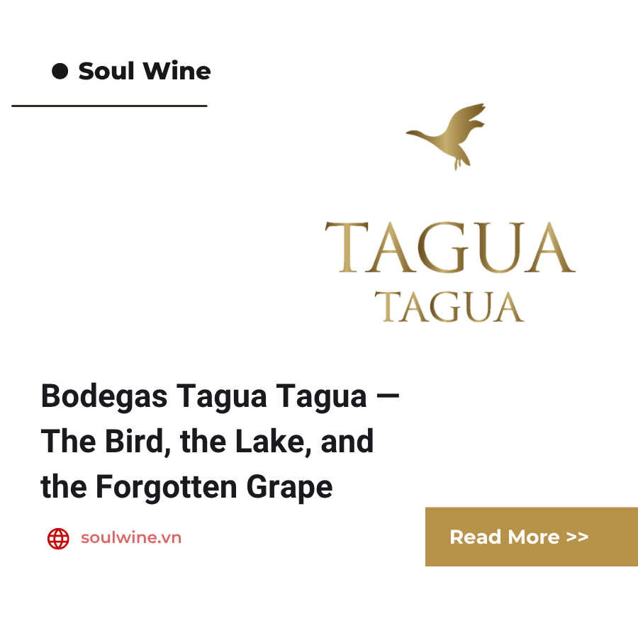 Bodegas Tagua Tagua — The Bird, the Lake, and the Forgotten Grape