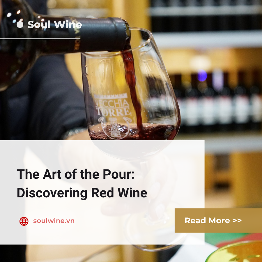 The Art of the Pour: Discovering Red Wine
