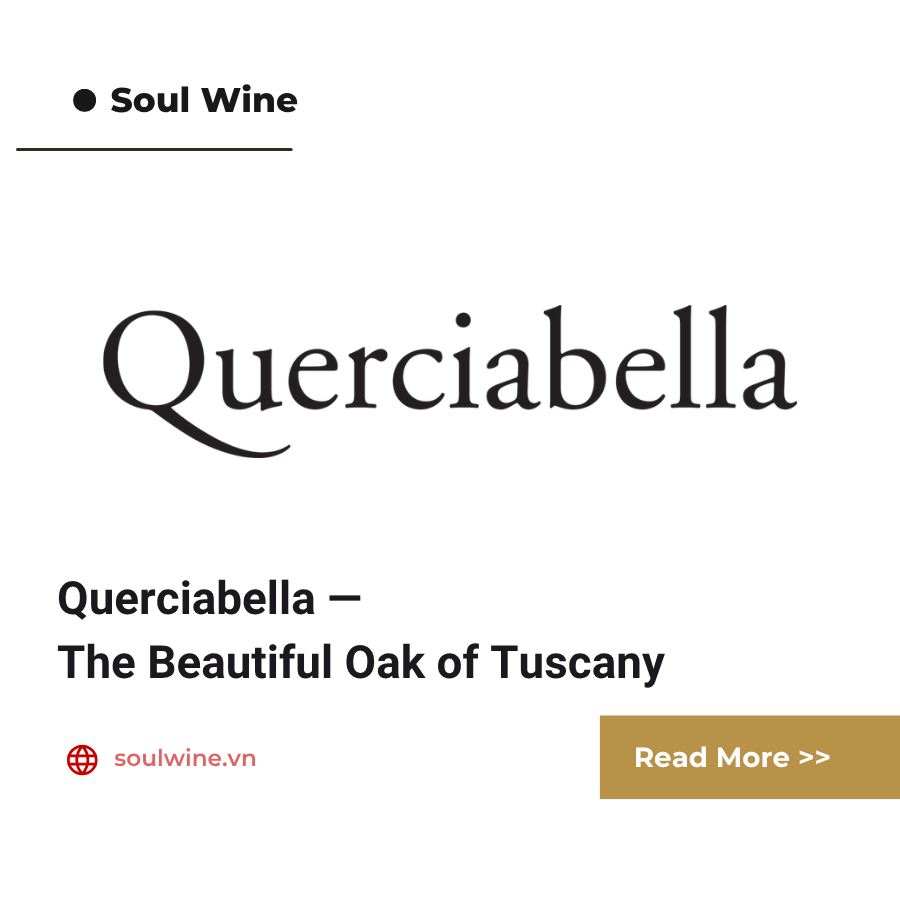 Querciabella — The Beautiful Oak of Tuscany