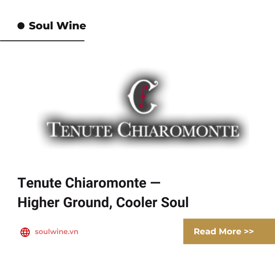 Tenute Chiaromonte — Higher Ground, Cooler Soul