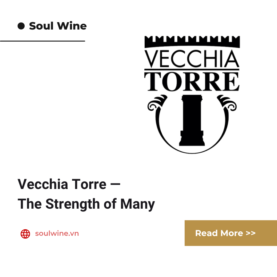 Vecchia Torre — The Strength of Many