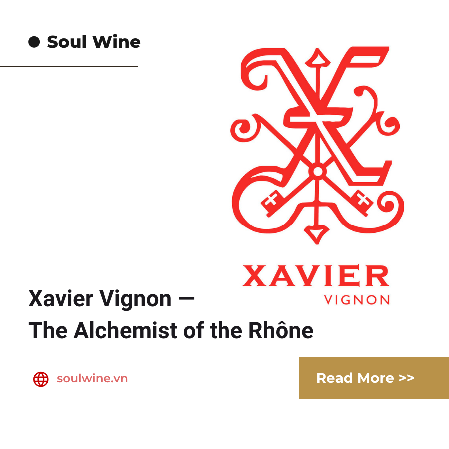 Xavier Vignon — The Alchemist of the Rhône