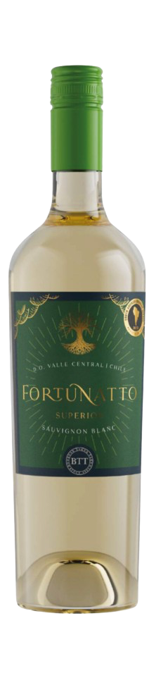 FORTUNATTO SUPERIOR SAUVIGNON BLANC 2024