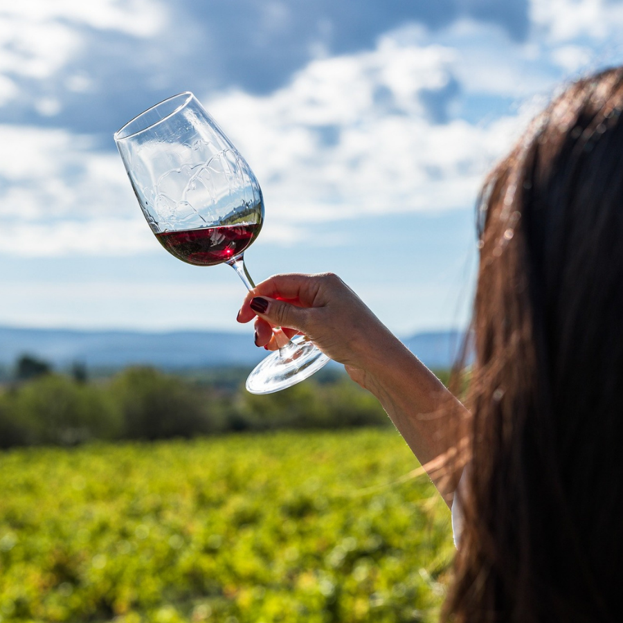 Why Does Every Wine Vintage Taste Different?